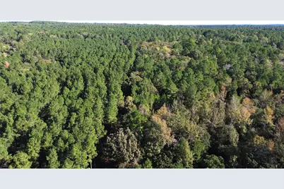 Tbd Cr 2265, Grapeland, TX 75844 - Photo 8