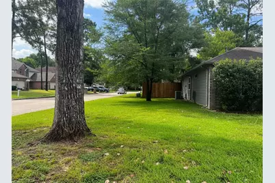 25314 Laurel Green Street, Spring, TX 77373 - Photo 4