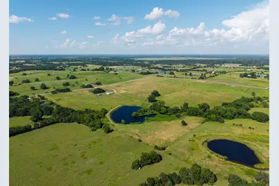 8531 Tottenham Road, Chappell Hill, TX 77426 - Photo 6