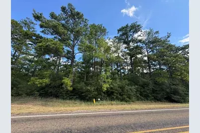 2940 Sam Rayburn Parkway, Brookeland, TX 75931 - Photo 4