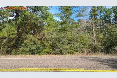 2940 Sam Rayburn Parkway, Brookeland, TX 75931 - Photo 2