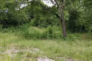 300 N Austin St, Wolfe City, TX 75496 - Photo 2