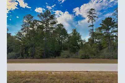 329 Exploration Road, Willis, TX 77378 - Photo 2