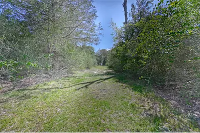 8595 Jared Road, Bellville, TX 77418 - Photo 40