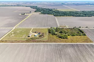 2325 Fm 1160 Rd, Louise, TX 77455 - Photo 6