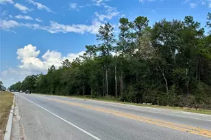 7825 S Fm 1486, Montgomery, TX 77316 - Photo 2