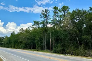 7825 S Fm 1486, Montgomery, TX 77316 - Photo 4