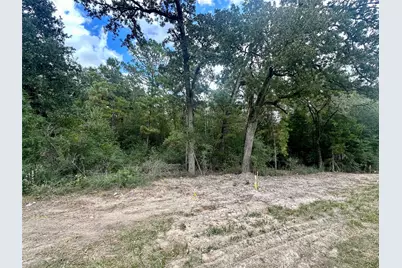 7825 S Fm 1486, Montgomery, TX 77316 - Photo 10