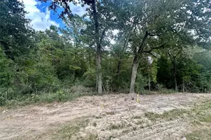 7825 S Fm 1486, Montgomery, TX 77316 - Photo 10