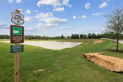15865 Berry Hill Drive, Conroe, TX 77303 - Photo 22