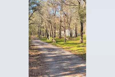 83 Dahlia Road, Huntsville, TX 77320 - Photo 44