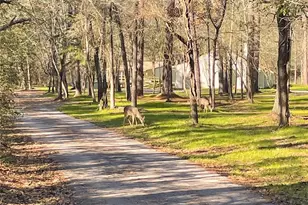 83 Dahlia Rd, Huntsville, TX 77320 - Photo 44