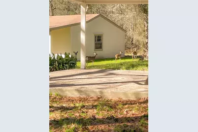 83 Dahlia Road, Huntsville, TX 77320 - Photo 48