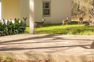 83 Dahlia Rd, Huntsville, TX 77320 - Photo 48