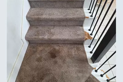 422 Barren Oak Lane, Crosby, TX 77532 - Photo 30