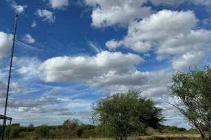 2134 Fm 1875, Beasley, TX 77417 - Photo 2