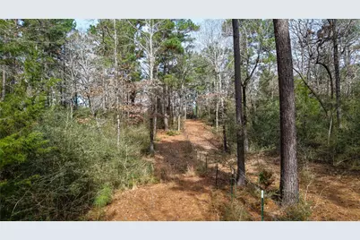 (39.15 Acres) 12868 County Road 122, Centerville, TX 75833 - Photo 24
