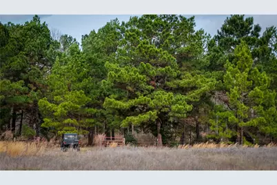 (39.15 Acres) 12868 County Road 122, Centerville, TX 75833 - Photo 6