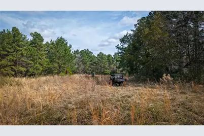 (39.15 Acres) 12868 County Road 122, Centerville, TX 75833 - Photo 26