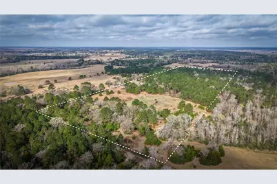 (39.15 Acres) 12868 County Road 122, Centerville, TX 75833 - Photo 32