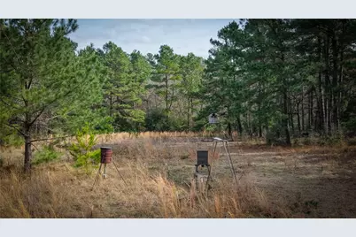 (39.15 Acres) 12868 County Road 122, Centerville, TX 75833 - Photo 2