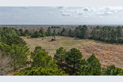 (39.15 Acres) 12868 County Road 122, Centerville, TX 75833 - Photo 14