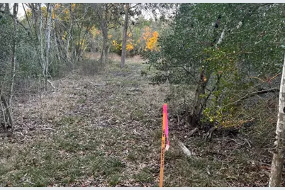 Lot 26 Winding Branch, Chappell Hill, TX 77426 - Photo 8