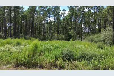 Tract 18 Pr 8160, Lovelady, TX 75851 - Photo 18