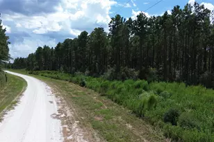 Tract 18 Pr 8160, Lovelady, TX 75851 - Photo 1