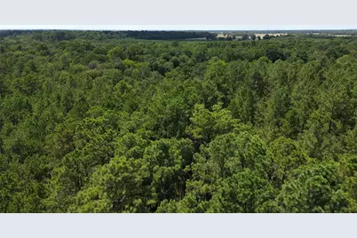 Tract 18 Pr 8160, Lovelady, TX 75851 - Photo 8