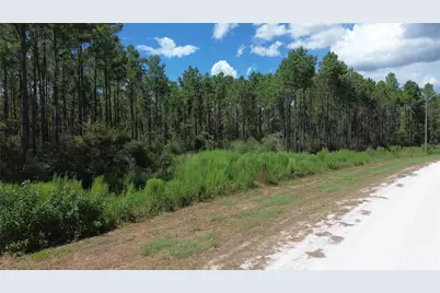 Tract 18 Pr 8160, Lovelady, TX 75851 - Photo 16