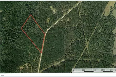Tract 18 Pr 8160, Lovelady, TX 75851 - Photo 2