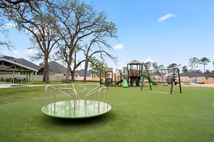 306 Prairie Warbler St, Magnolia, TX 77354 - Photo 20