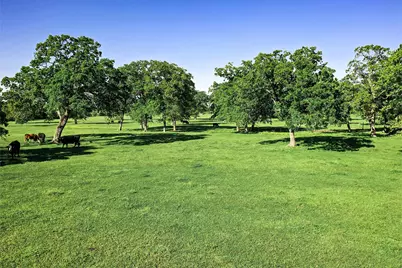 661 B Fm 2550, Huntsville, TX 77320 - Photo 12