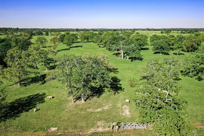 661 B Fm 2550, Huntsville, TX 77320 - Photo 26