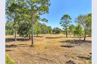 131 Narrow Path Road, Liverpool, TX 77577 - Photo 26