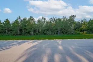 15743 Wooded Trl Wy, Willis, TX 77378 - Photo 6