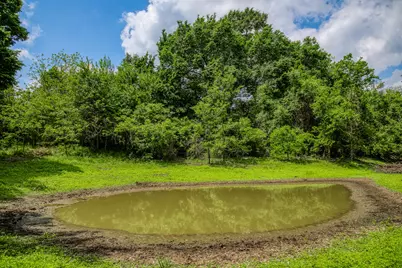 2645 Fm 1155 South S, Chappell Hill, TX 77426 - Photo 40