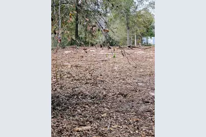 5544 Tall Pine Road, Navasota, TX 77868 - Photo 6