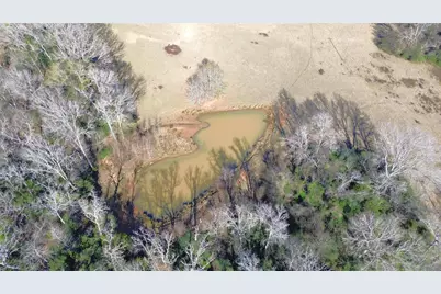 Tbd Fm 1272, Grapeland, TX 75844 - Photo 6