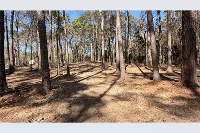 0 Michael Drive, Magnolia, TX 77355 - Photo 4