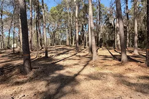 0 Michael Dr, Magnolia, TX 77355 - Photo 4