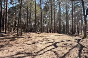 0 Michael Dr, Magnolia, TX 77355 - Photo 6