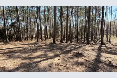 0 Michael Drive, Magnolia, TX 77355 - Photo 2