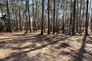 0 Michael Dr, Magnolia, TX 77355 - Photo 2