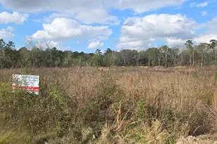 27647 Fm 2090 Rd, Splendora, TX 77372 - Photo 8