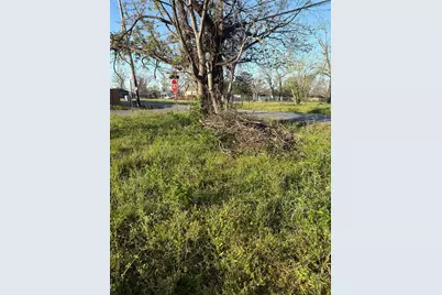 1826 Dewalt Street, Houston, TX 77088 - Photo 6