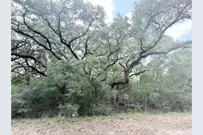 0 Oak Drive, Bay City, TX 77414 - Photo 6