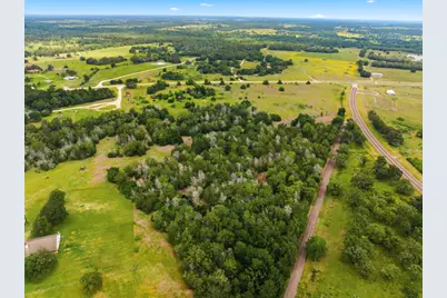 19.04 Acres Fm 60 W, Somerville, TX 77879 - Photo 8