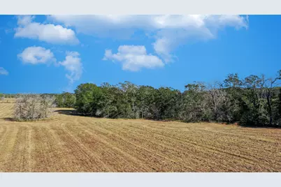 Lot 5 County Road 229, Bedias, TX 77831 - Photo 1